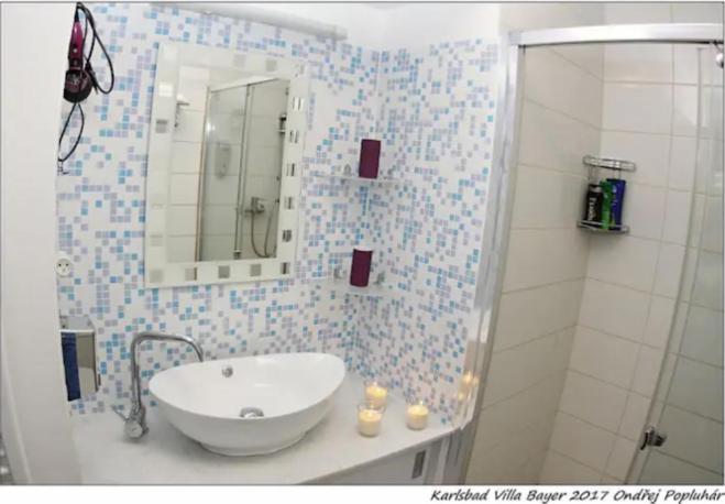 Apartman Vila Bayer Karlsbad Exterior foto