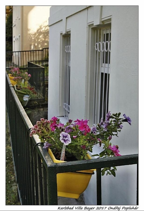 Apartman Vila Bayer Karlsbad Exterior foto