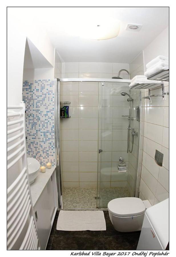 Apartman Vila Bayer Karlsbad Exterior foto