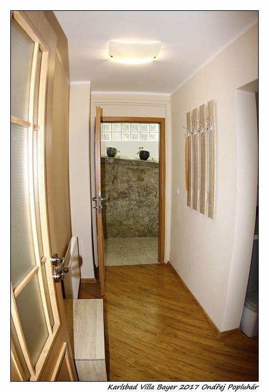 Apartman Vila Bayer Karlsbad Exterior foto