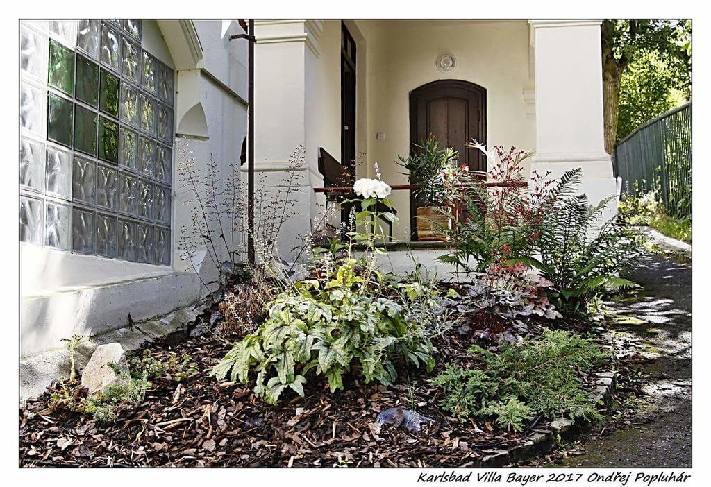 Apartman Vila Bayer Karlsbad Exterior foto