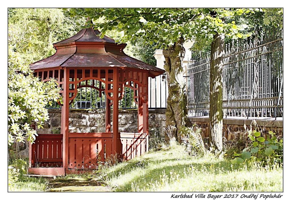 Apartman Vila Bayer Karlsbad Exterior foto