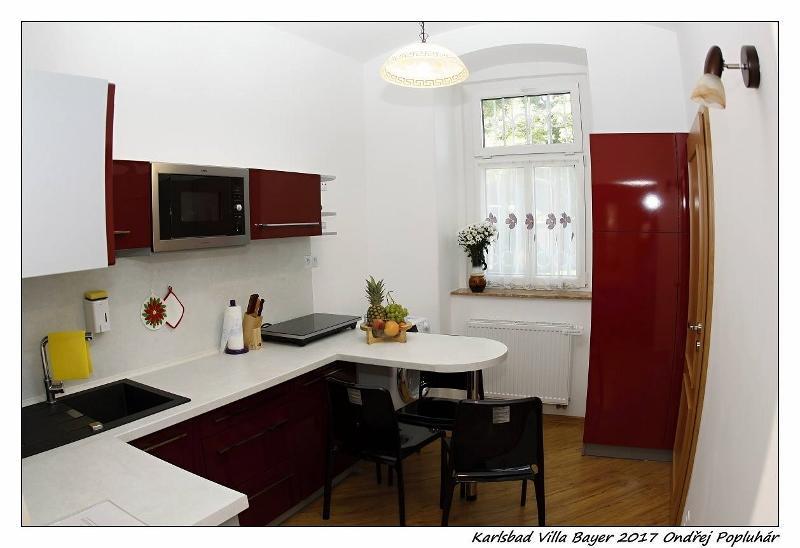 Apartman Vila Bayer Karlsbad Exterior foto